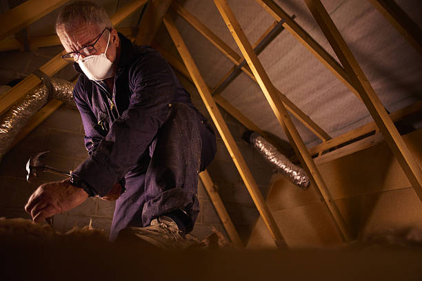 Best Insulation Materials and Products in Bass Lake, IN